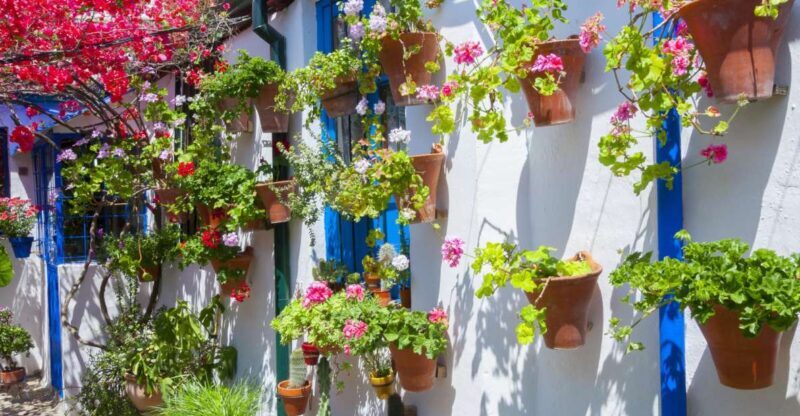Cordoba's Authentic Patios: 2-Hour Tour with Tickets - An In-Depth Look at Cordoba’s Patios Tour
