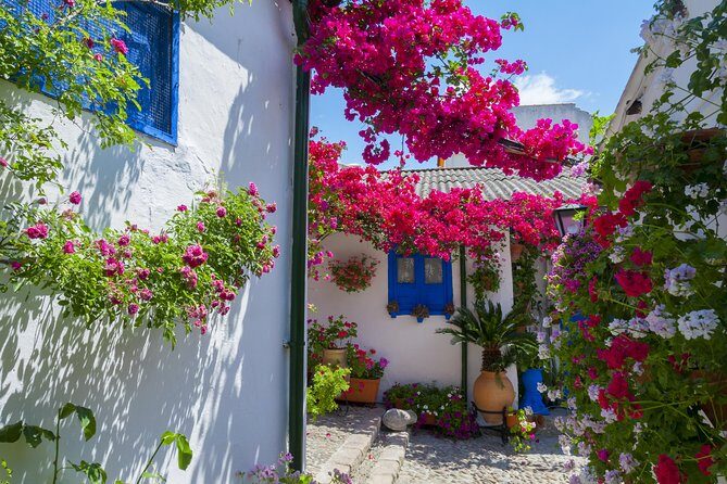Cordoba's Authentic Patios: 2-Hour Tour with Tickets - Discover Cordoba’s Authentic Patios in a 2-Hour Guided Tour