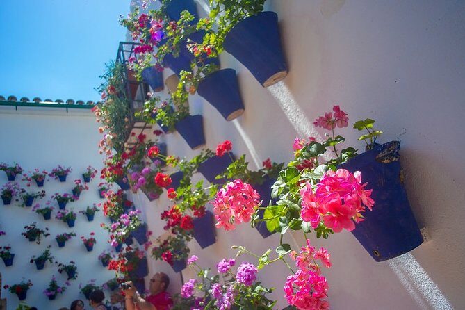 Cordoba's Authentic Patios: 2-Hour Tour with Tickets - Key Points