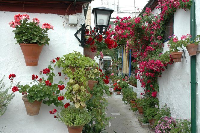 Cordoba's Authentic Patios: 2-Hour Tour with Tickets - The Value of This Tour