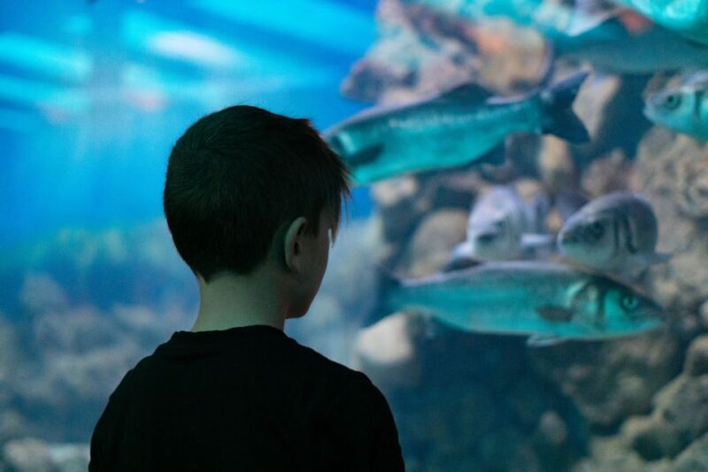 Corfu: Aquarium Entry Ticket with Guided Tour - Who Will Love This Tour?