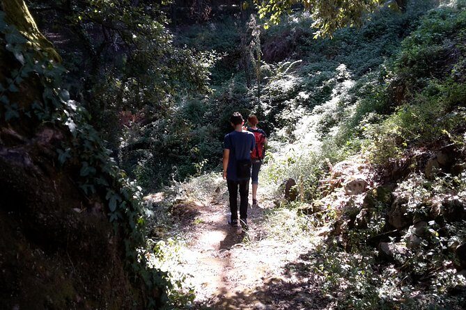 Corfu Countryside Hiking Tour - The Sum Up: Why This Tour Is a Solid Choice