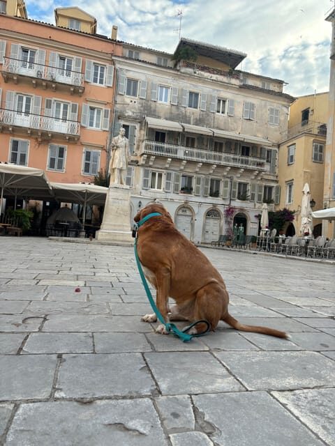 Corfu: Dog Sightseeing Tour - Exploring Corfu on Foot with Canine Companions