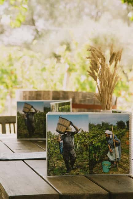 Corfu: E-Bike Tour with Wine Tasting and Winery Visit - Final Thoughts: Is It Worth It?