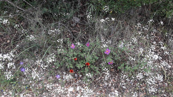 Corfu from Above: Hiking at the Highest Peak of Corfu - The Sum Up
