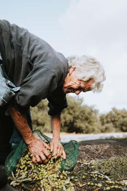 Corfu: Guided Olive Groves Tour with Olive Oil Tasting - In-Depth Review: Exploring Corfu’s Olive Heritage