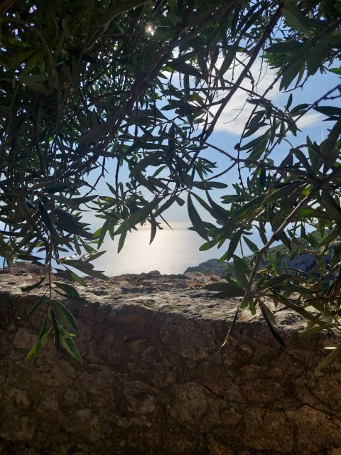 Corfu: Hiking in Olive Groves,Village,Sunset,with Swim Stop - What Makes This Tour Stand Out?