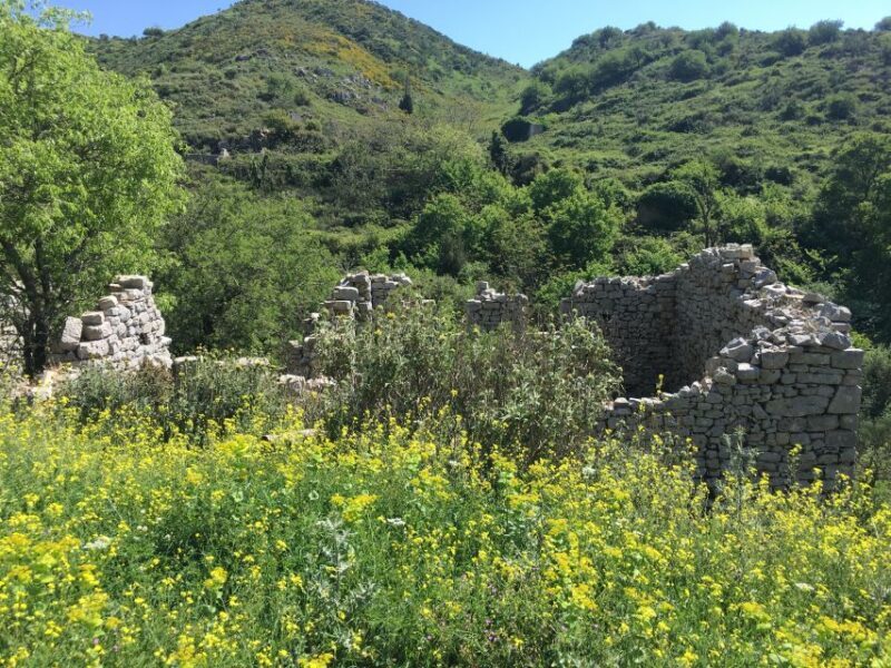 Corfu: Northwest Coast and Village Charms 4x4 Tour - Exploring Corfu’s Northwest Coast and Village Charms on a 4x4 Adventure