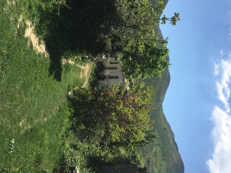Corfu: Northwest Coast and Village Charms 4x4 Tour - Frequently Asked Questions