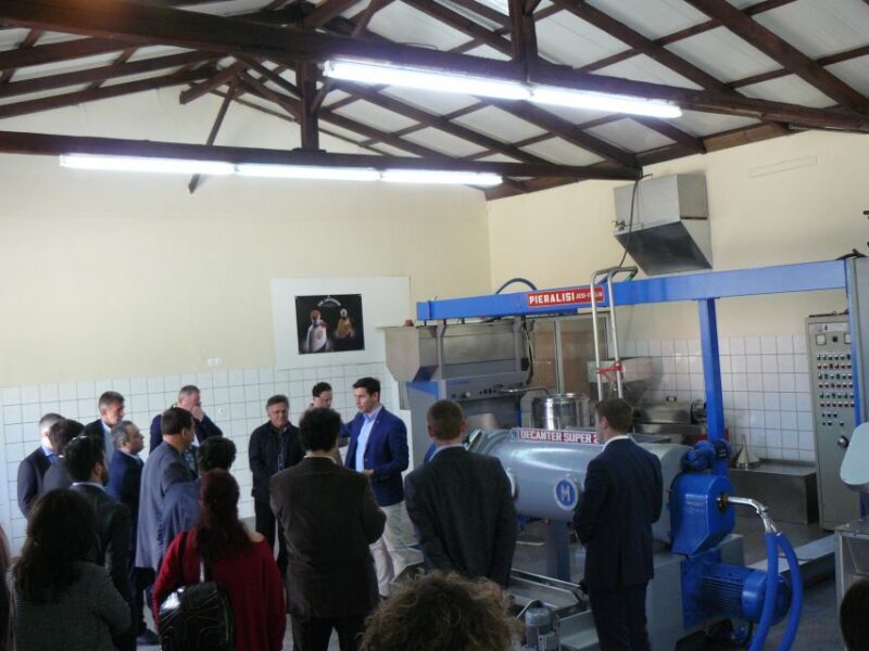 Corfu: Olive Oil Experience - The Governor's Olive Mill - Corfu: Olive Oil Experience - The Governors Olive Mill