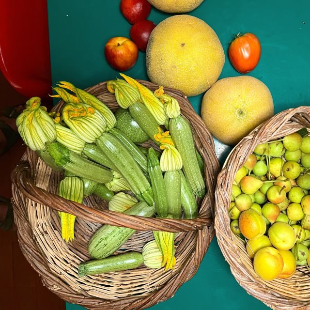 Corfu: Organic Olive Oil Farm Tour with Transfer and Tasting - Key Points