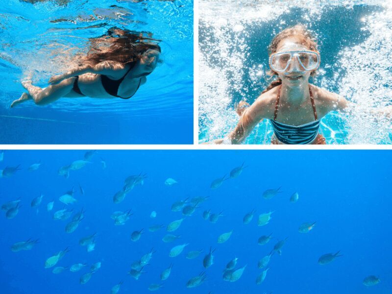 Corfu: Paxos Island Full-Day Cruise with Blue Caves - Final Thoughts: Who Is This Tour For?