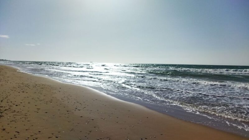 Corfu: Private Full-Day Northern Beaches Tour - FAQ