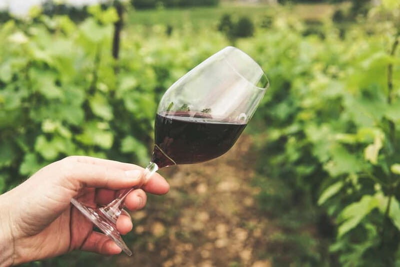 Corfu: Vineyard and Winery Tour with Cooking Class - Final Thoughts: Is It Worth It?