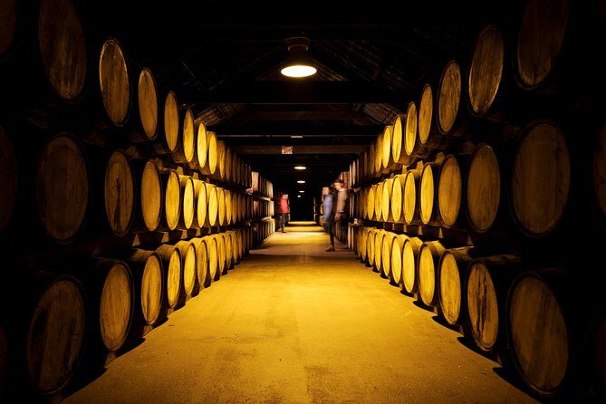 Cork Midleton DistilleryJameson Experience & Whiskey Tasting - The Experience in Detail