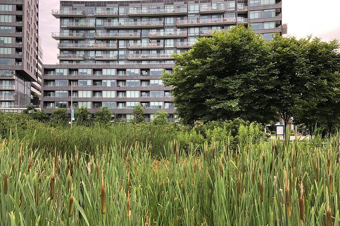 Corktown and Distillery District Tour - Corktown and Distillery District Tour: A Deep Dive into Toronto’s Past and Present