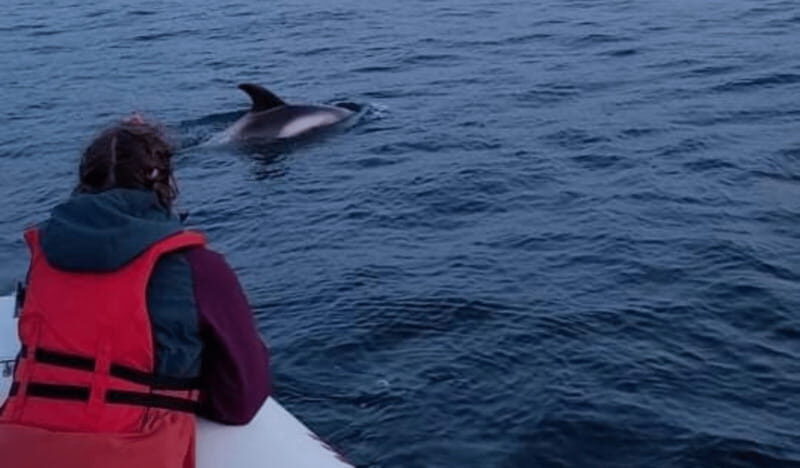 Corner Brook: Woods Island Adventure 3-Hour Zodiac Tour - A Closer Look at the Woods Island Zodiac Tour