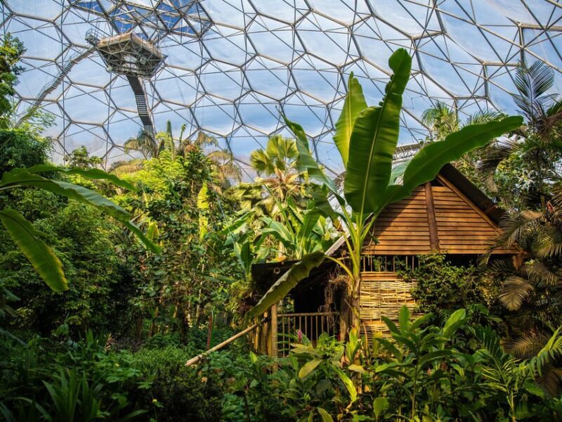 Cornwall: Eden Project Entry Ticket - The Sum Up