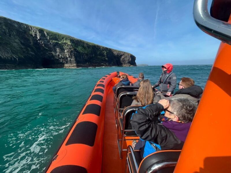 Cornwall: Guided Seal Safari by Boat - An In-Depth Look at the Seal Safari Experience