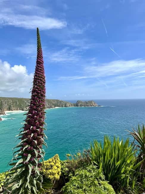 Cornwall: Private Guided Tour - The Value of This Tour: More Than Just Sightseeing