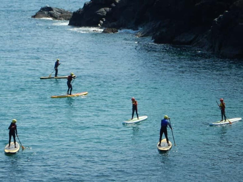 Cornwall: Stand-Up Paddleboarding Adventure on The Lizard - Who Will Love This Experience?
