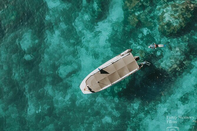 Coromandel Adventure and Wildlife Boat Tour to Aldermen Islands - Experience the Best of Coromandel with a Wildlife and Island Adventure
