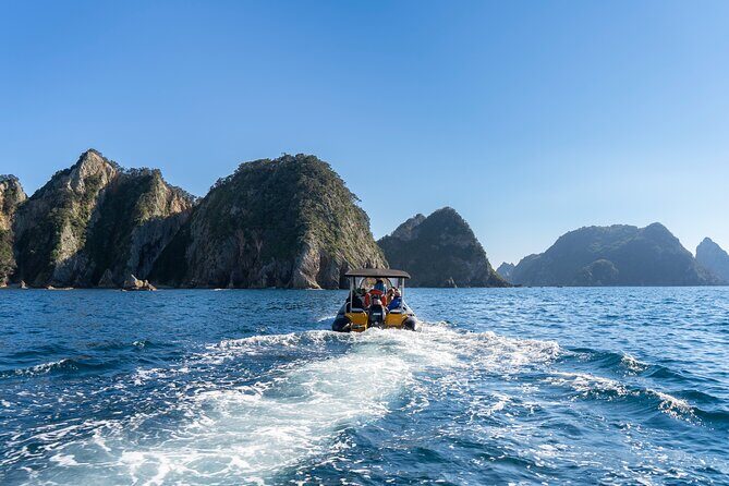 Coromandel Adventure and Wildlife Boat Tour to Aldermen Islands - Analyzing the Value