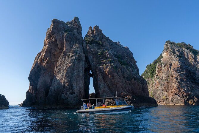 Coromandel Adventure and Wildlife Boat Tour to Aldermen Islands - Who Is This Tour Best For?