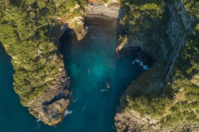 Coromandel Adventure and Wildlife Boat Tour to Aldermen Islands - Practical Details and Tips for Travelers