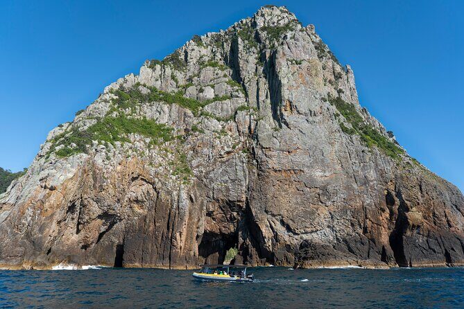 Coromandel Adventure and Wildlife Boat Tour to Aldermen Islands - FAQs