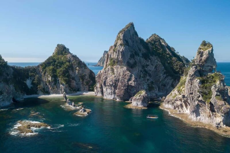 Coromandel: Aldermen Islands Marine Reserve Wildlife Cruise - An in-depth look at the Aldermen Islands Marine Reserve Wildlife Cruise