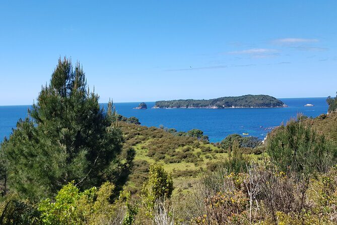 Coromandel Cathedral Cove Walk & Hot Water Beach Day Tour - A Closer Look at the Tour Experience