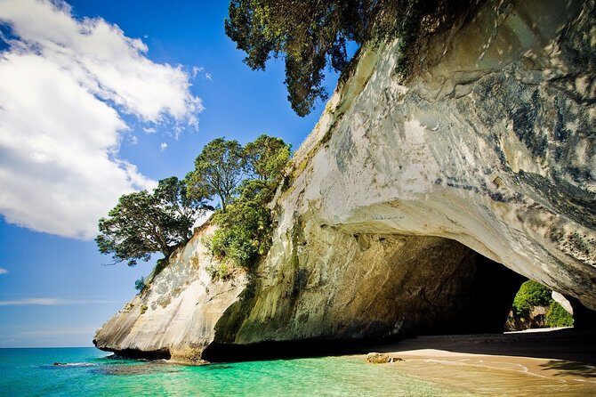 Coromandel Coastal Experience - Small Group Tour from Auckland - Key Points