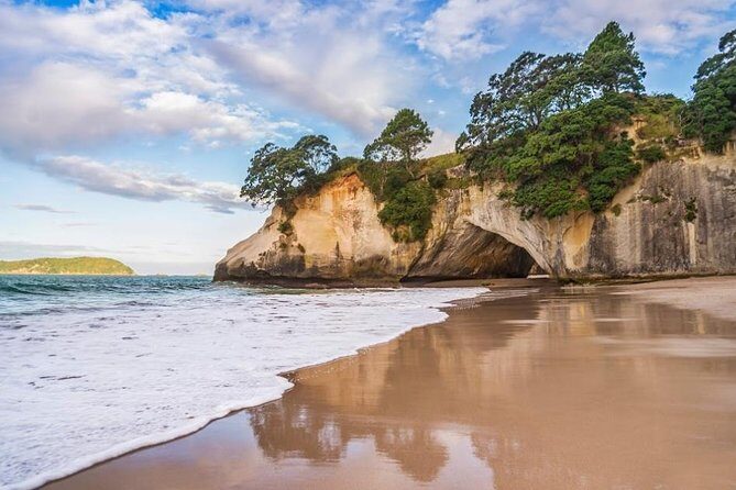 Coromandel Coastal Experience - Small Group Tour from Auckland - What Reviewers Say