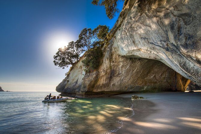 Coromandel Coastal Experience - Small Group Tour from Auckland - The Sum Up