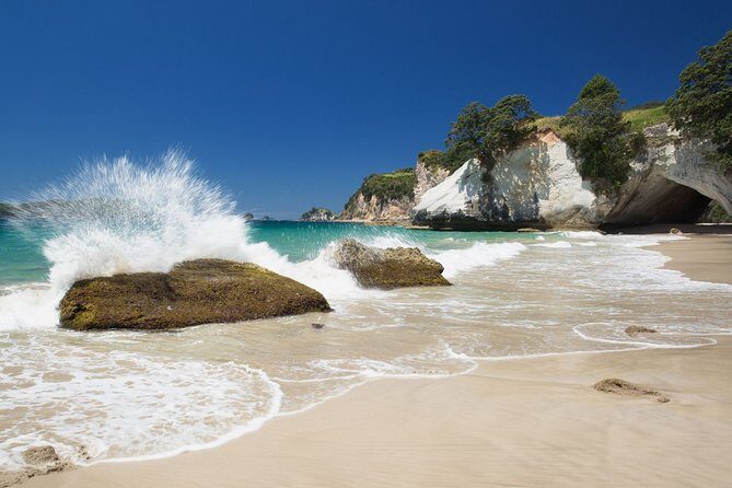 Coromandel Coastal Experience - Small Group Tour from Auckland - FAQ