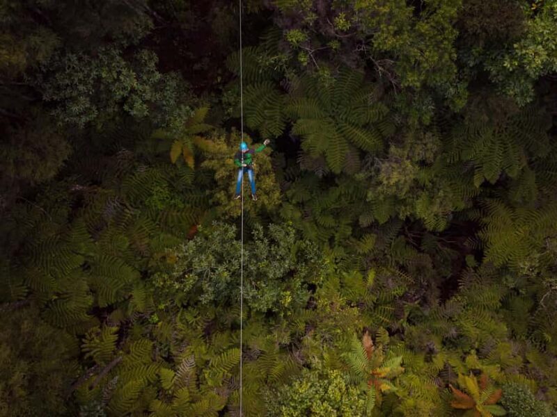 Coromandel: Guided Zipline Tour Experience - The Value of the Coromandel Zipline Tour