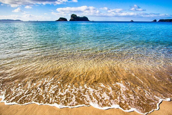 Coromandel Peninsula Discovery - Private Tour From Auckland - Frequently Asked Questions