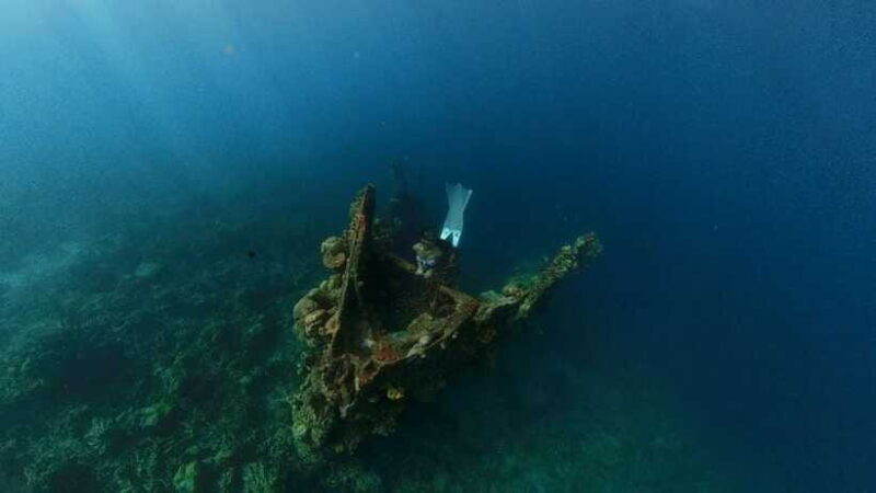 Coron: Barracuda Lake and Reef Garden Tour with Lunch - FAQ