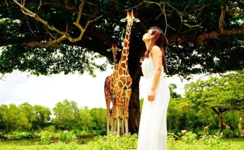 Coron: Calauit Safari Black Island Lunch & Transfer included - A Detailed Look at the Coron: Calauit Safari and Black Island Tour