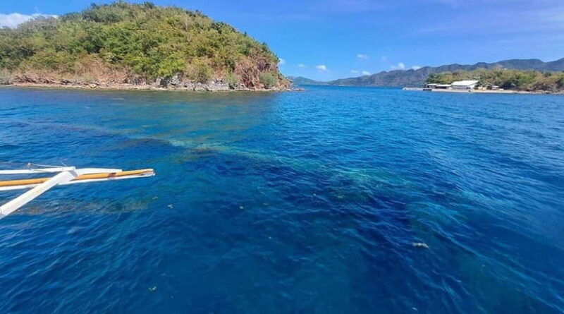 Coron Island: Reef and Wrecks Tour (JOINERS) - Key Points