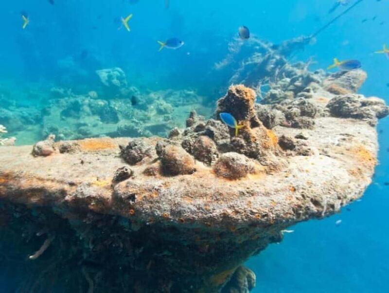 Coron Island: Reef and Wrecks Tour (JOINERS) - Exploring Coron Island’s Reef and Wrecks Tour in Detail