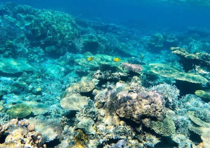 Coron: Island Tour B - Coron: Island Tour B — A Complete Guide to an Unforgettable Day