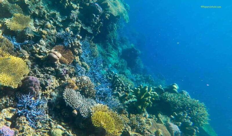 Coron Island Ultimate Tour (Private Tour) - The Practicalities