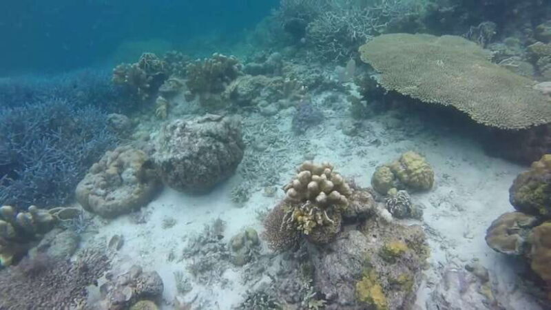 Coron: Off-Bay Islands, Lagoons and Lakes Hopping Tour - FAQs