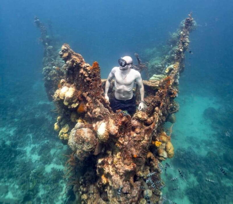 Coron Private Tour B: Barracuda Lake and Smith Beach - Coron Private Tour B: Barracuda Lake and Smith Beach – A Detailed Look