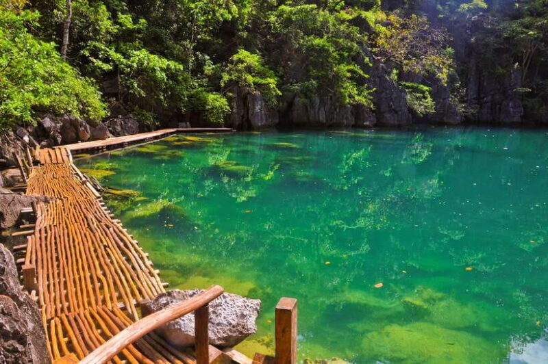 Coron Private Tour B: Barracuda Lake and Smith Beach - Final Thoughts: Is This Tour Worth It?