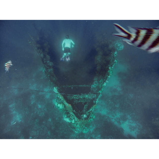 Coron: Reef & East Tangat Wrecks Tour with Lunch - What Makes This Tour Stand Out?