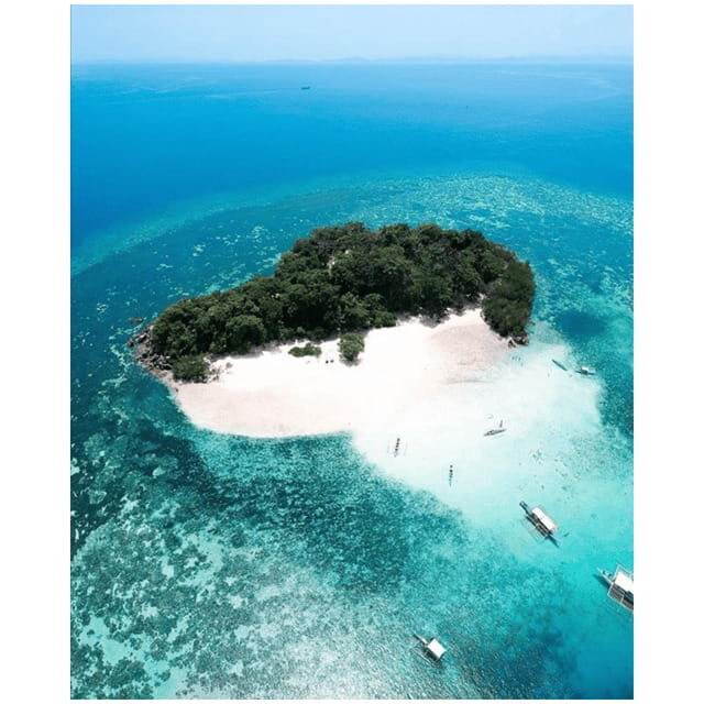 Coron: Reef & East Tangat Wrecks Tour with Lunch - The Experience: What We Loved and What to Consider