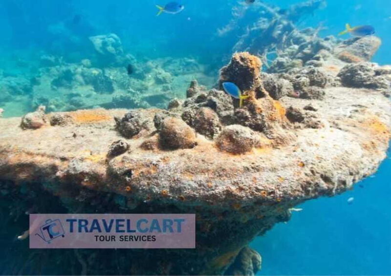 Coron Reef & Wrecks Tour - FAQ